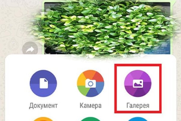 Сайт блэк спрут bs2webs top