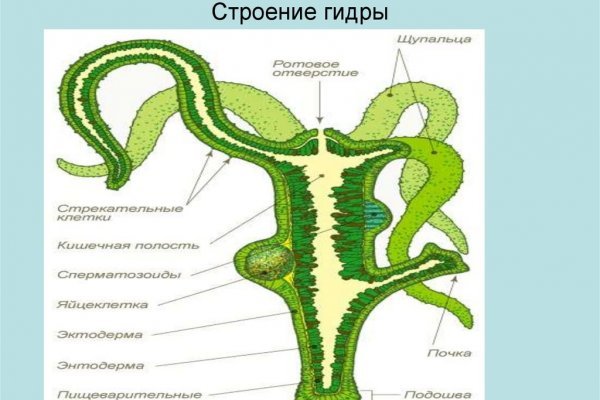 Блекспрут рабочие зеркала blacksprut cam blacksprut2web in